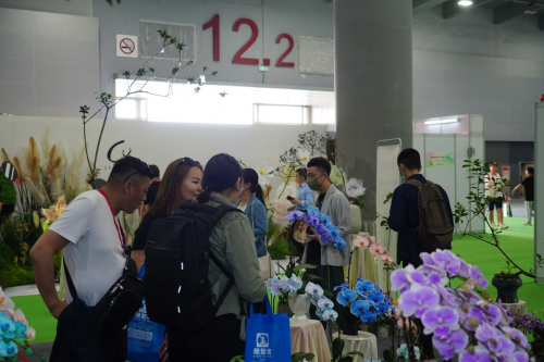 2024花城“新秀花事”亮點(diǎn)搶先看！和廣州國際花藝節(jié)一起解鎖“花經(jīng)濟(jì)”財(cái)富密碼(圖4)